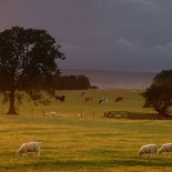 Englishcountryside English countryside (picture Freefoto.com)
