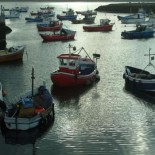 fishingboats2 Fishing boats (picture Freefoto.com)