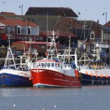 fishingboats Fishing boats, Whitby harbour, North Yorkshire (picture Freefoto.com)
