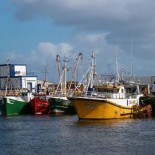 fishingfleet Fishing fleet, Inishowen, Ireland (picture Patrick Mackie)