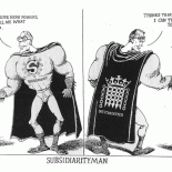 subsidiarityman-753766