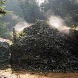 Compost heap on a frosty morning (picture Andrew Dunn)