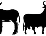 The donkey and the bull, rival symbols of Calatonia and Spain